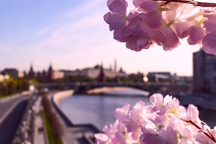 Майские праздники в Москве: куда сходить и чем заняться 