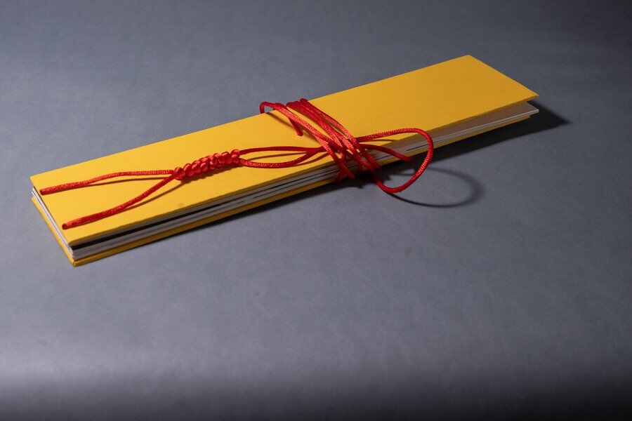 Вера Чон. По канату бытия